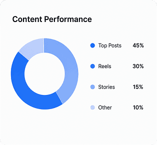 We analyze results, audience behavior and content performance.